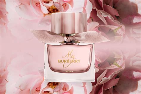 My Burberry Blush for Women Review: Fresh, Bright & Woody